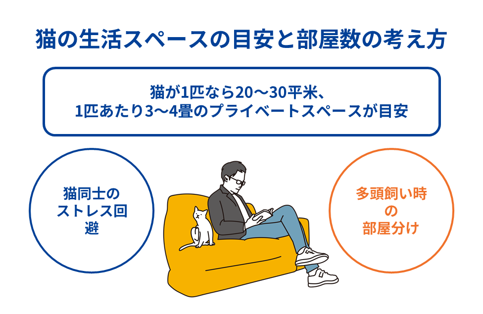 猫の生活スペースの目安と部屋数の考え方