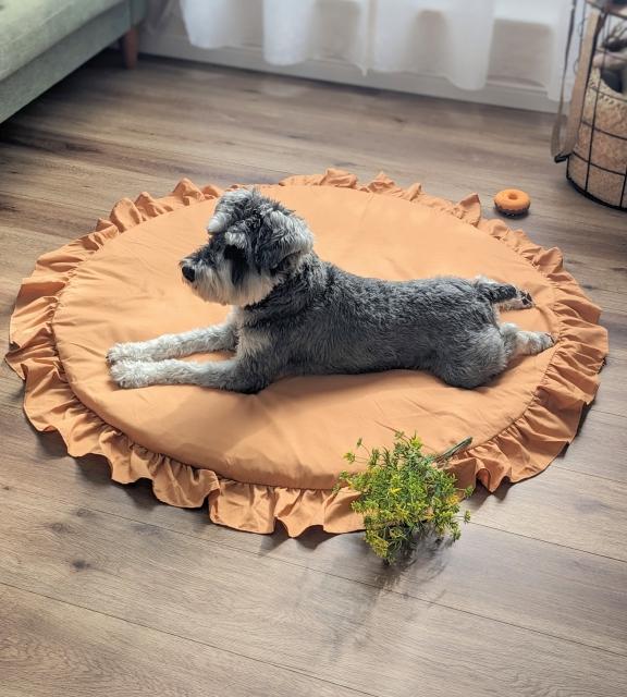 リビングの一角に犬用スペースを確保