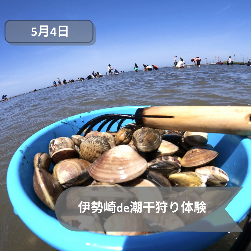 5月4日潮干狩り