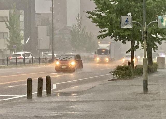 注意点｜ハザードマップが白くても排水溝の掃除など維持管理は不可欠