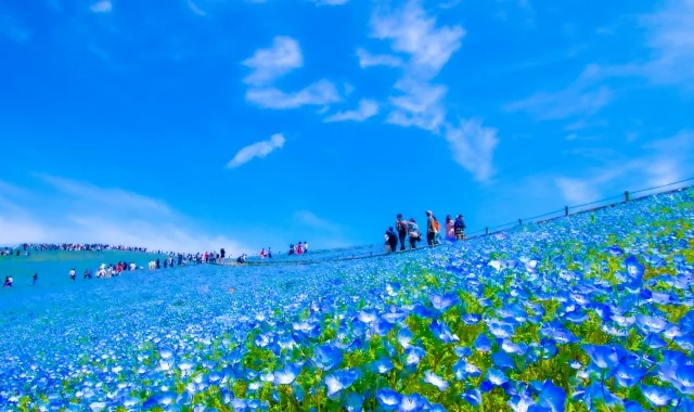茨城の気候・地盤に合わせた対応のしやすさ