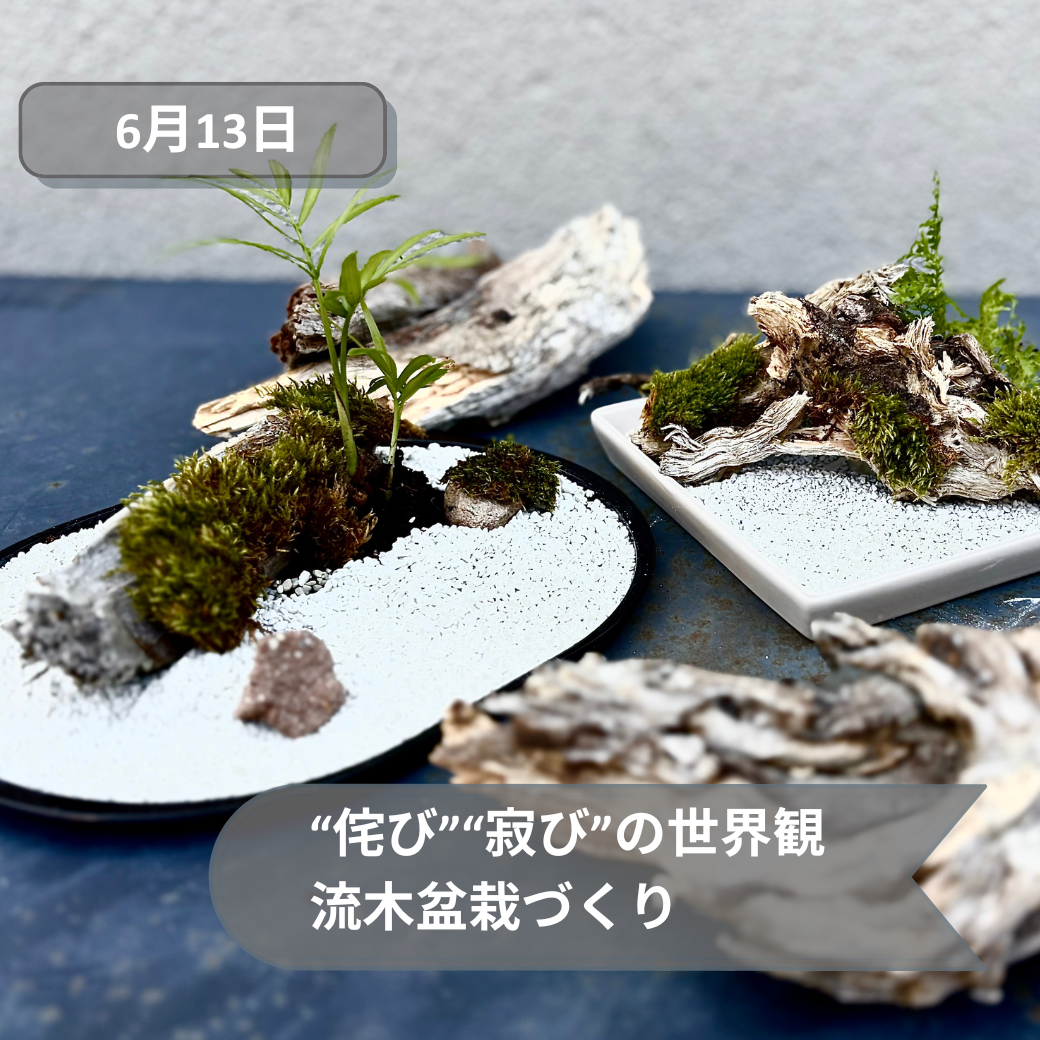 2026年6月伊勢崎盆栽