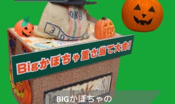 2026年10月伊勢崎かぼちゃ重さ当て