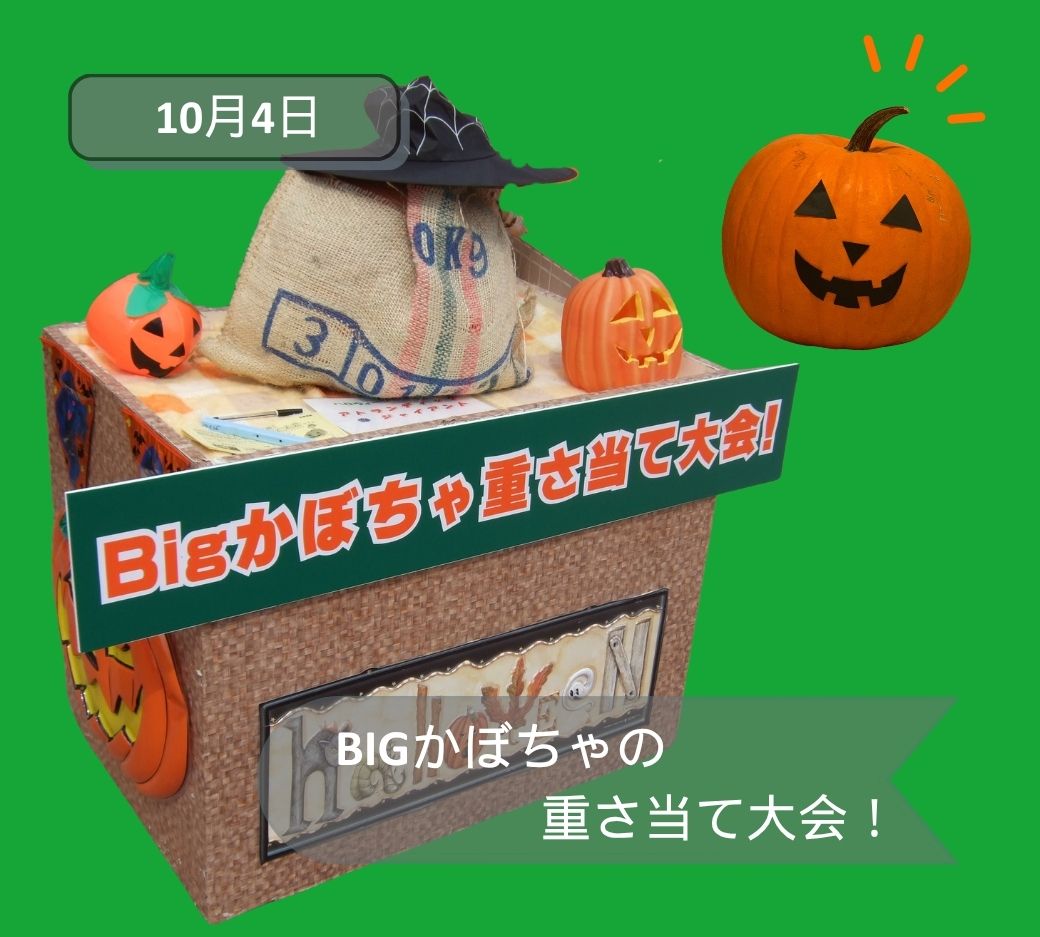 2026年10月伊勢崎かぼちゃ重さ当て
