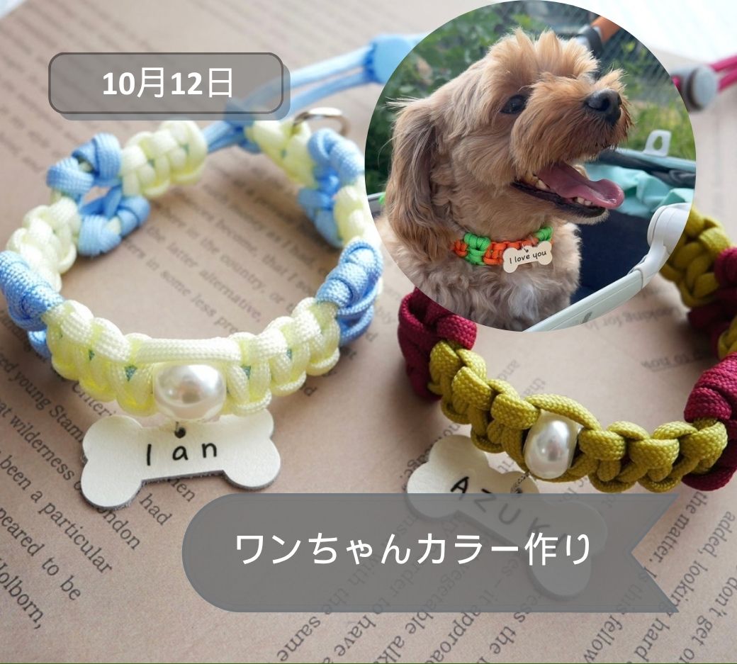 2026年10月12日古河わんちゃんカラー作り