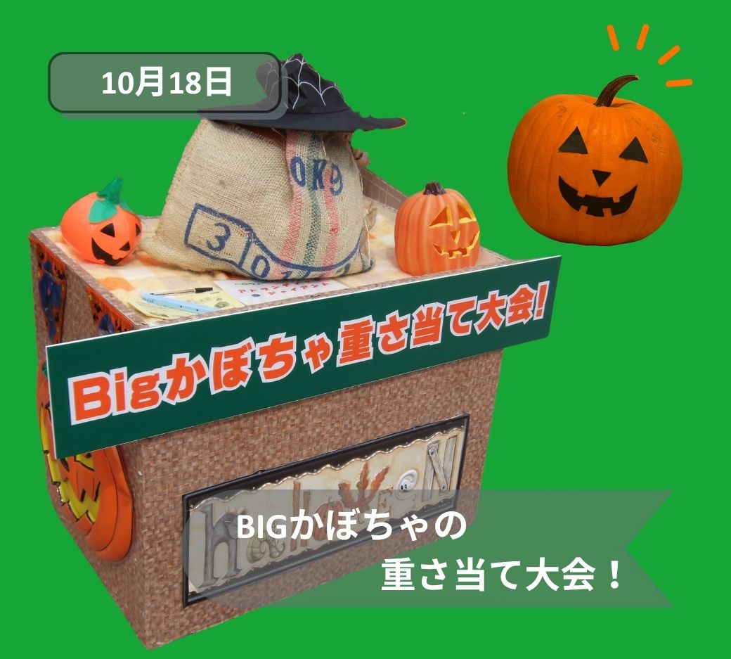 2026年10月18日古河かぼちゃの重さ当て